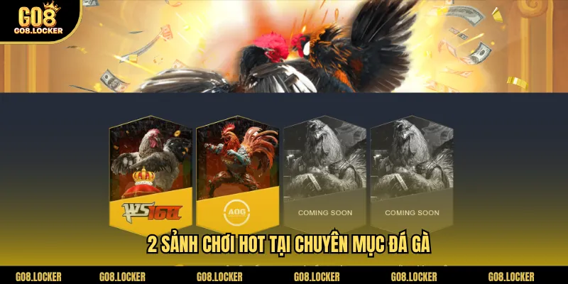 2 sảnh chơi hot tại chuyên mục đá gà