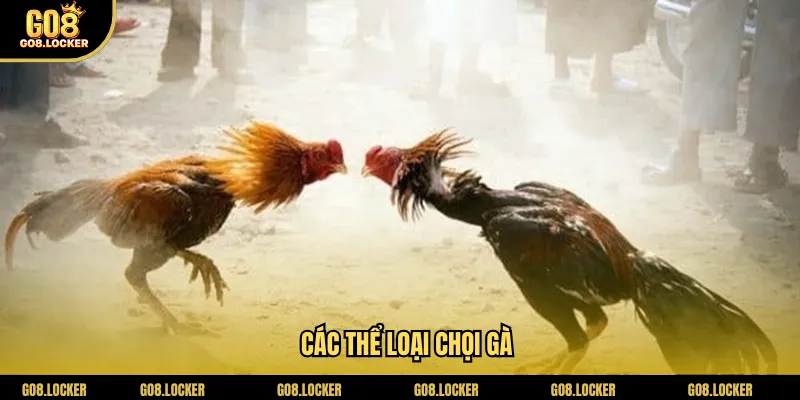 cac-the-loai-choi-ga