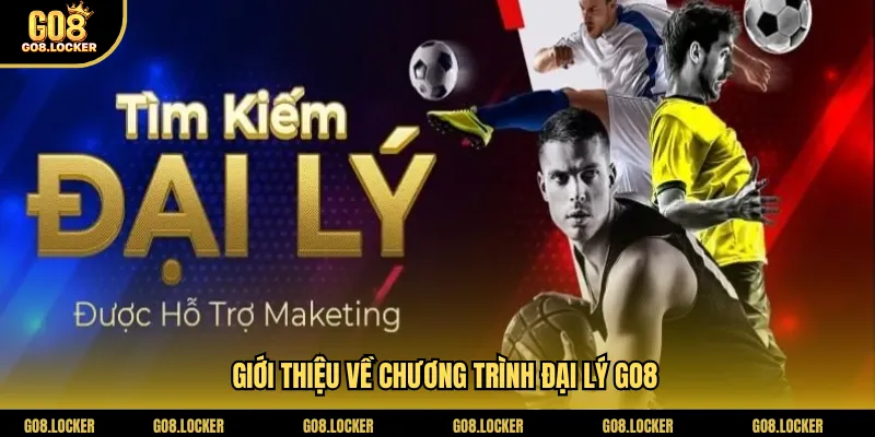 Giới thiệu về chương trình đại lý Go8