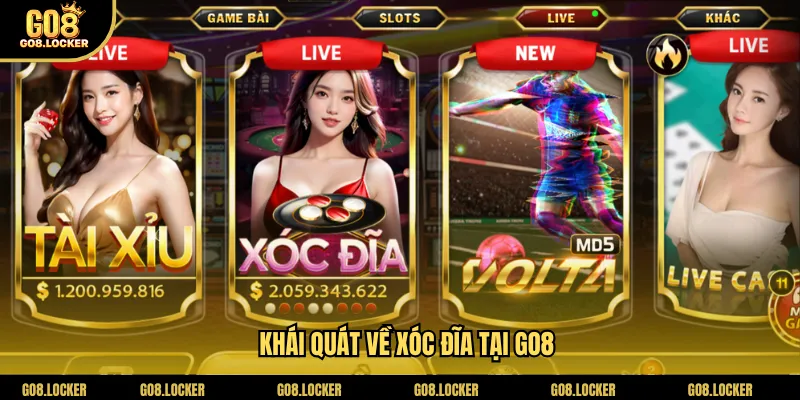 Khái quát về xóc đĩa tại Go8