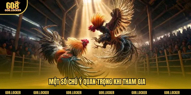 Một số chú ý quan trọng khi tham gia