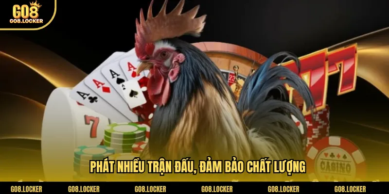 Phát nhiều trận đấu, đảm bảo chất lượng