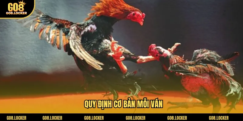 Quy định cơ bản mỗi ván